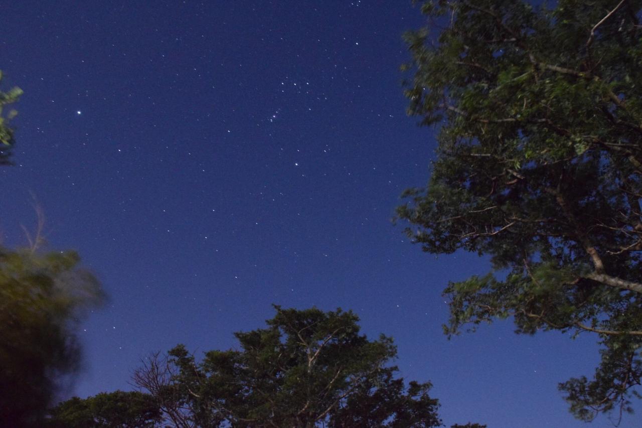 Yakushima Minsyuku Suginoko Bed & Breakfast エクステリア 写真