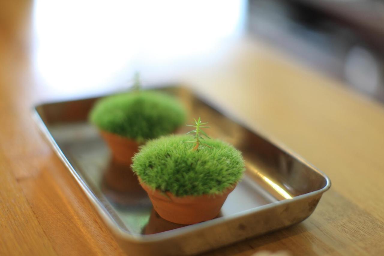 Yakushima Minsyuku Suginoko Bed & Breakfast エクステリア 写真